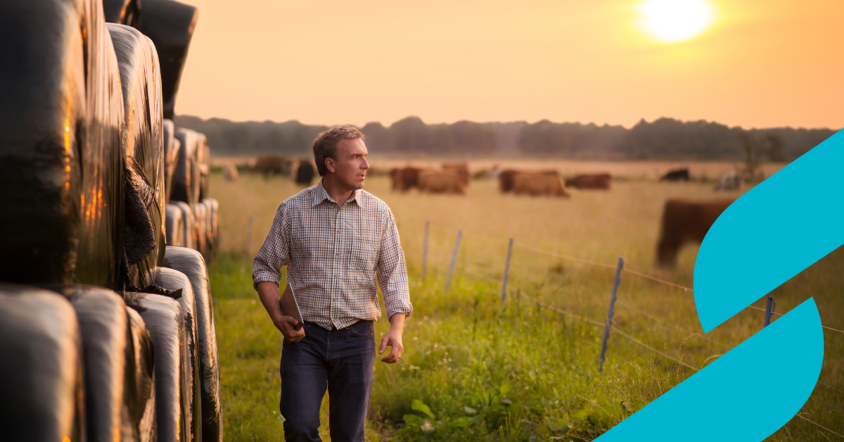 Farmer walking past hay bales with fields in the background and he is holding an ipad