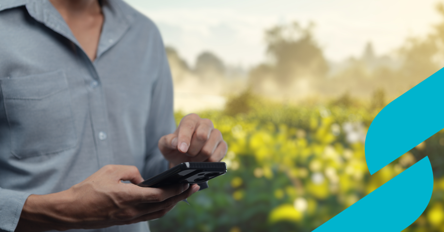 How to Successfully Diversify Your Farm