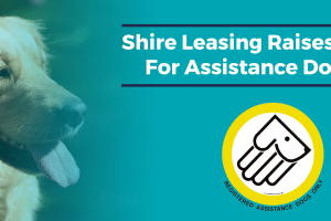 Shire Leasing Raising Donations For Assistance Dogs UK