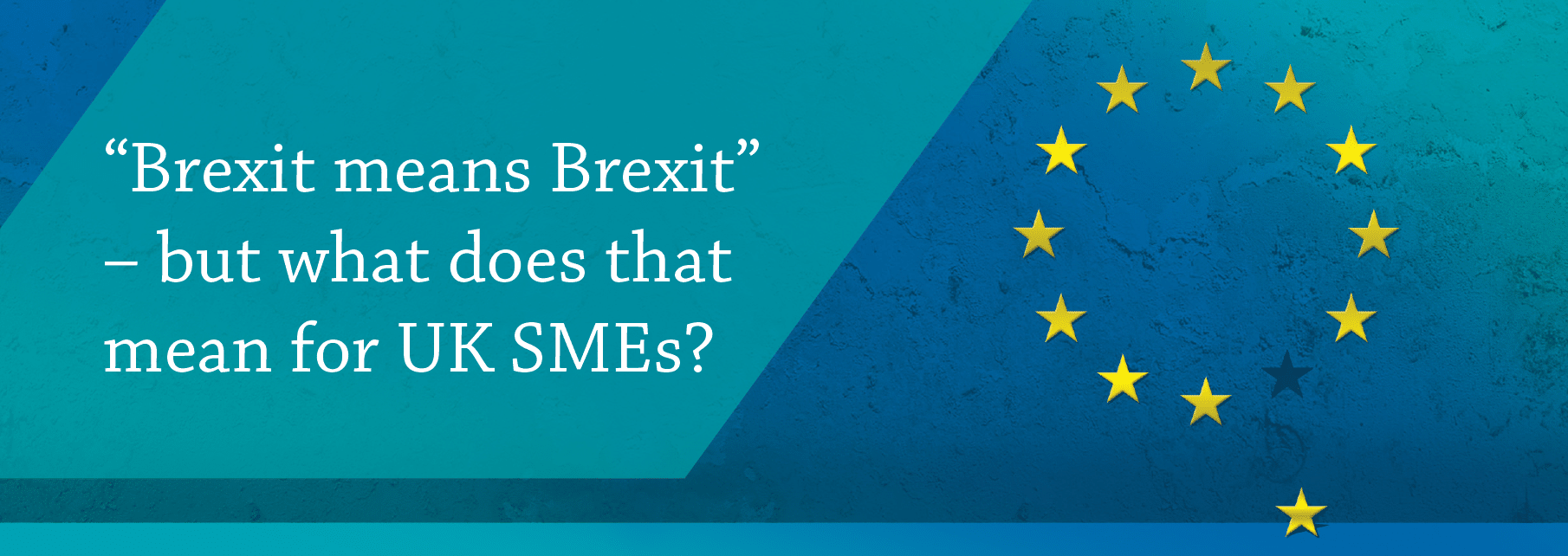 "Brexit Means Brexit" - But What Does That Mean For UK SME's | Shire